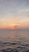 marionabarnils Altpins Profile Picture