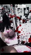 hellowkitty4ever Altpins Profile Picture
