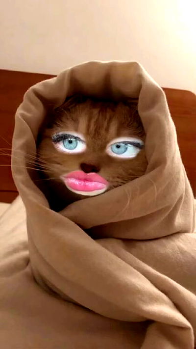 moonliliaght moonliliaght archive video