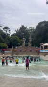 shelly_roberin Altpins Profile Picture