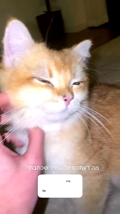 itsilanosh itsilanosh archive video