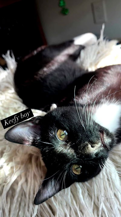 tatum.ricee tatum.ricee archive video