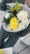 lisssa_sha Altpins Profile Picture