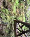 karin.ben.yair Altpins Profile Picture