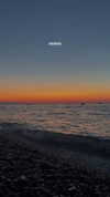 lital.oss Altpins Profile Picture