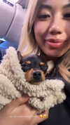 jenny.kaly Altpins Profile Picture