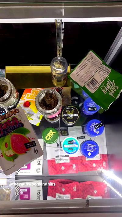 bakedsloths bakedsloths archive video