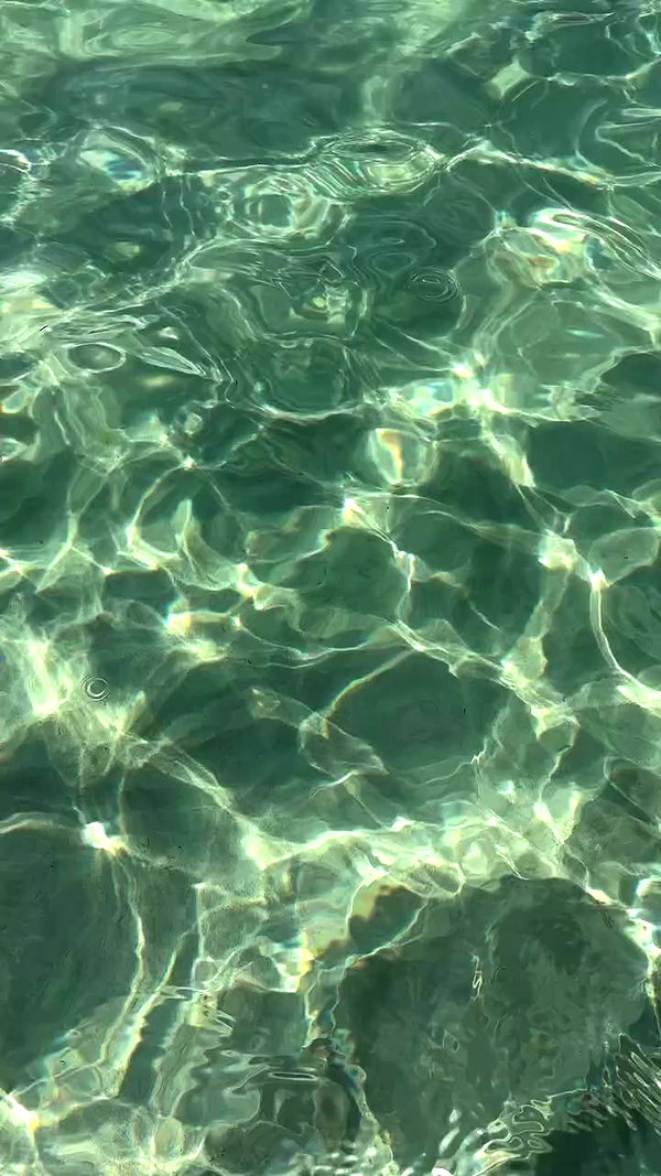meytal_zerbib archive video preview