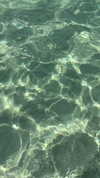 meytal_zerbib Altpins Profile Picture