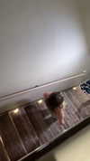 aishahsofeyy Altpins Profile Picture