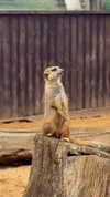 aleximarianna Altpins Profile Picture