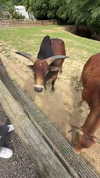 aleximarianna Altpins Profile Picture