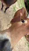aleximarianna Altpins Profile Picture