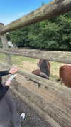 aleximarianna Altpins Profile Picture