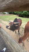 aleximarianna Altpins Profile Picture