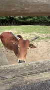 aleximarianna Altpins Profile Picture