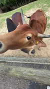 aleximarianna Altpins Profile Picture