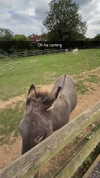 aleximarianna Altpins Profile Picture