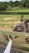 aleximarianna Altpins Profile Picture