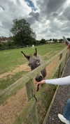 aleximarianna Altpins Profile Picture