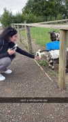 aleximarianna Altpins Profile Picture
