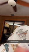 alliebear Altpins Profile Picture