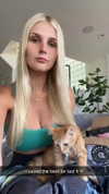 alliebear Altpins Profile Picture