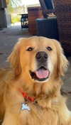 alliebear Altpins Profile Picture