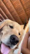 alliebear Altpins Profile Picture