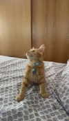alliebear Altpins Profile Picture