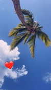 alliebear Altpins Profile Picture