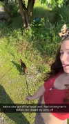 ameliabfit Altpins Profile Picture