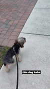 ashleyserranom Altpins Profile Picture