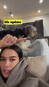 ashleyserranom Altpins Profile Picture