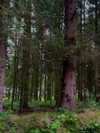mollieruck Altpins Profile Picture
