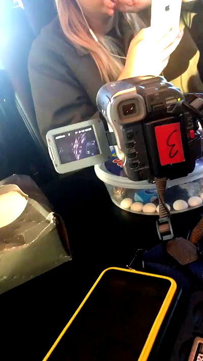 _femalien _femalien archive video