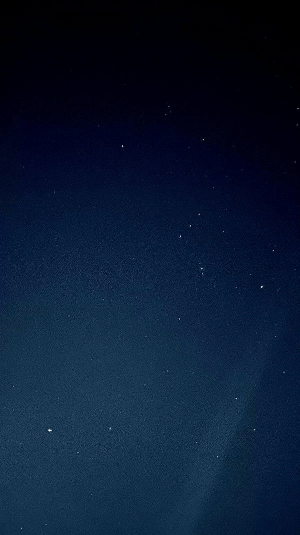 noa_zemlyanski archive video preview