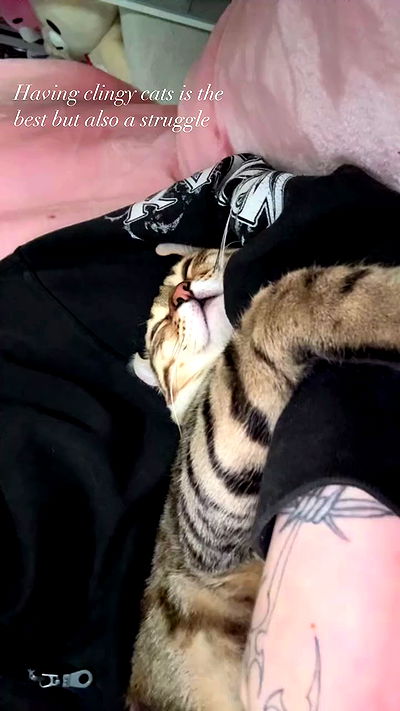 laurinchhhe laurinchhhe archive video