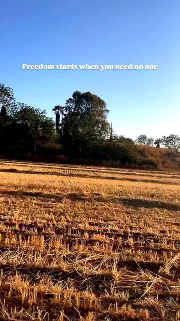 rebecka_tsadok rebecka_tsadok archive video