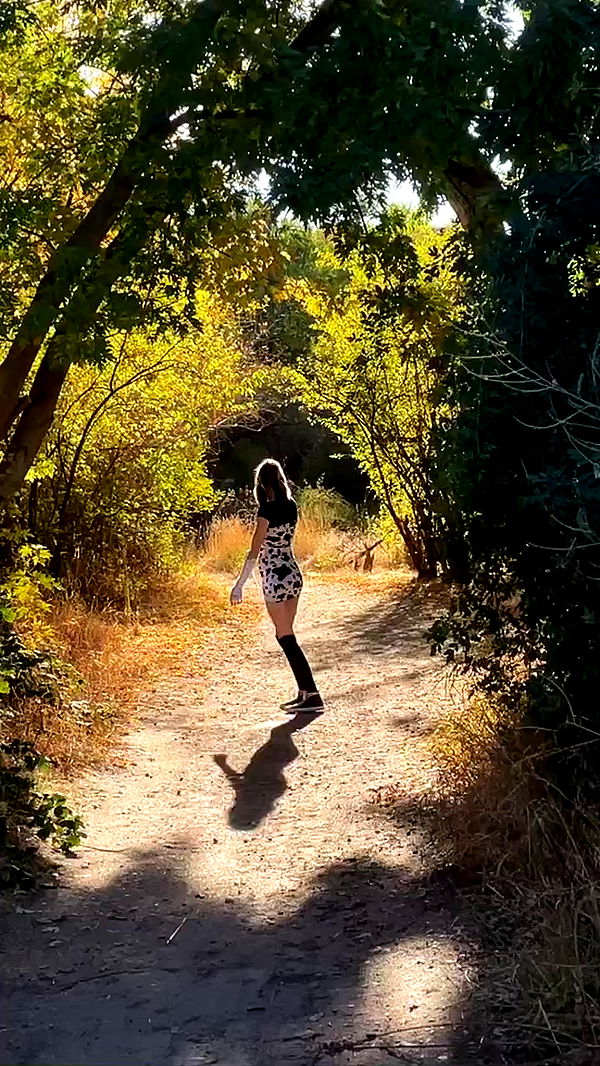 _animechika_ archive video preview