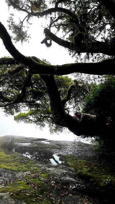 hanabellask8 hanabellask8 archive video