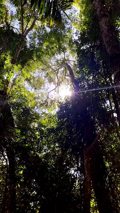 eusandyyh eusandyyh archive video