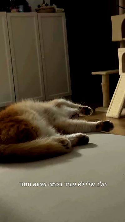 itsilanosh itsilanosh archive video