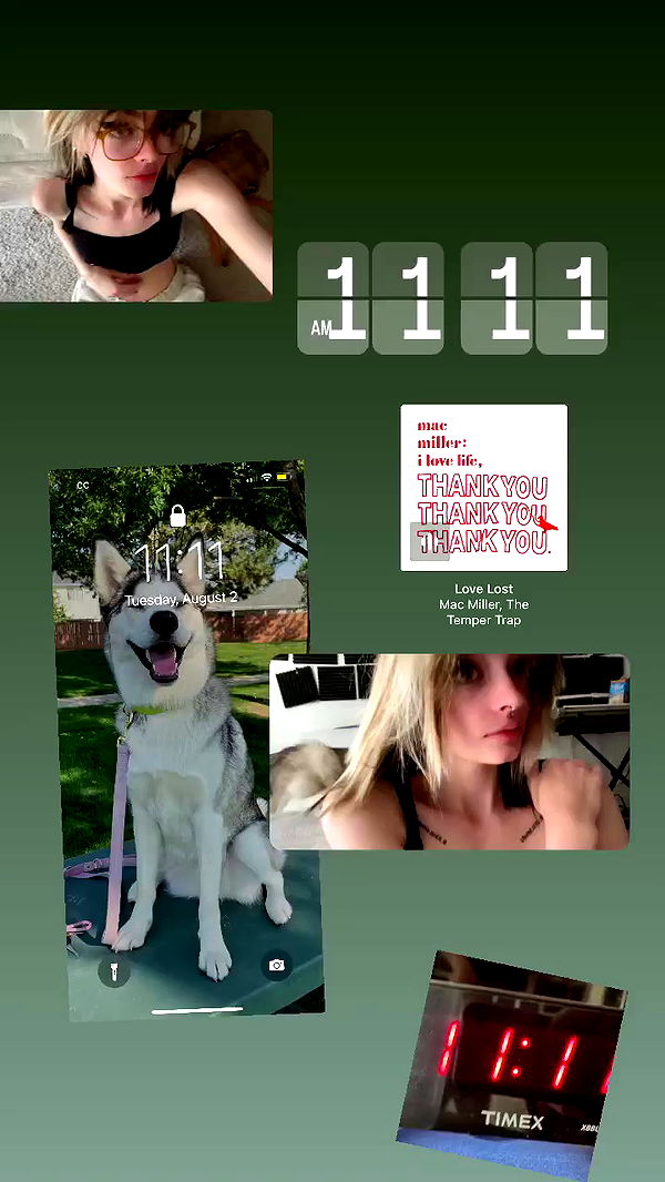 _animechika_ archive video preview