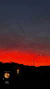 emiliaaa.sfr Altpins Profile Picture