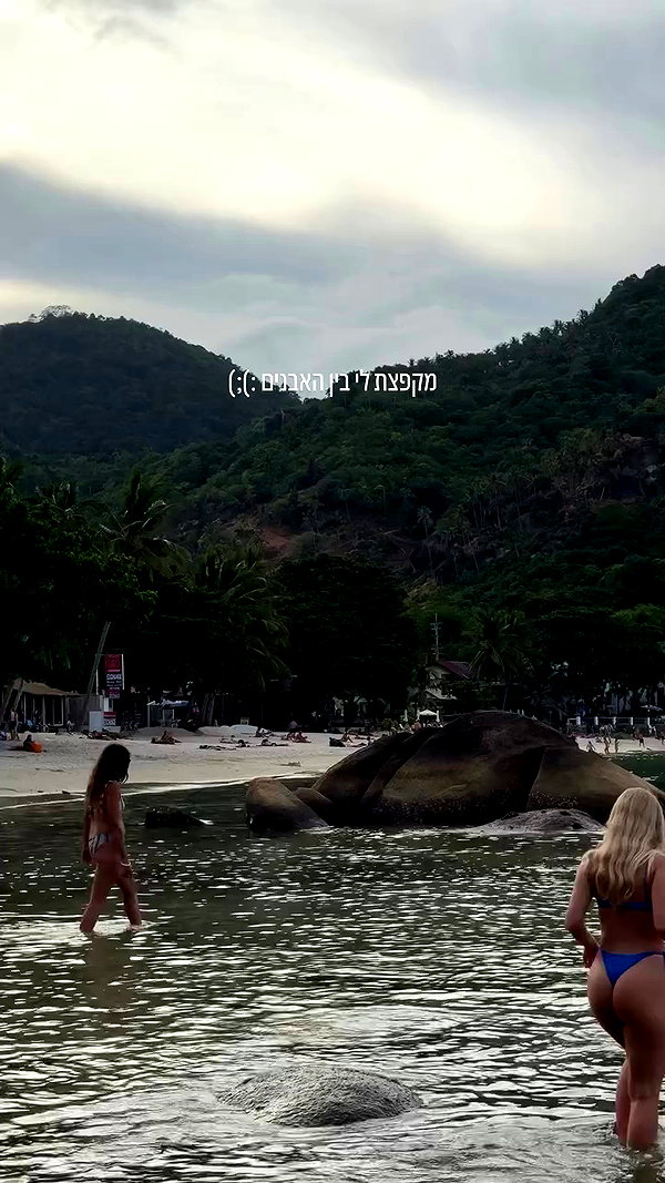 lital.oss archive video preview