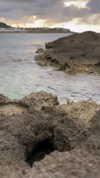 alenittta Altpins Profile Picture