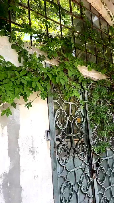 alisa.paigin alisa.paigin archive video