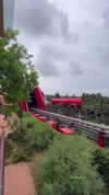 shelly_roberin Altpins Profile Picture