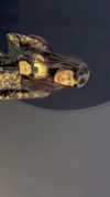klarissasalazar Altpins Profile Picture
